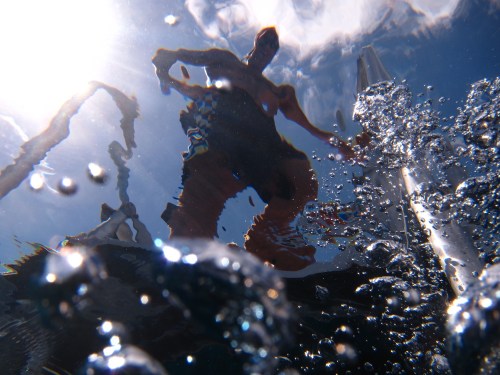 A Marine Park ranger monitors one of Blacktip Island’s new reef tollbooths.