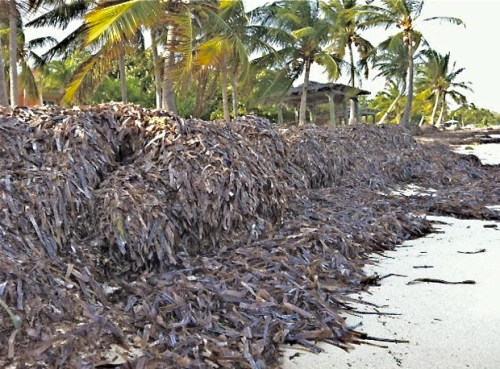 A Mount Rushmore-inspired Bangles homage in its early stages on the Eagle Ray Cove beach.