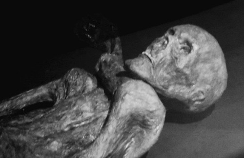 A preliminary scan of Wally the Coral Man, discovered by recreational divers on a Blacktip Island wall dive. (Photo courtesy of Utilisateur : 120)