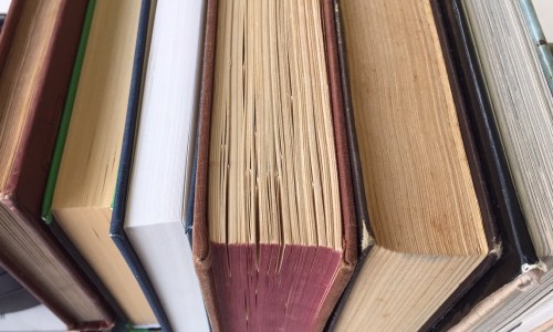 Blacktip Island Literary Festival organizers are urging attendees to read books, not fling them, at this year’s event.