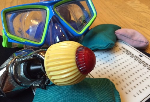 Blacktip Island scuba divers have been hit with a spate of daring mid-dive robberies while enjoying the Caribbean island’s reefs.