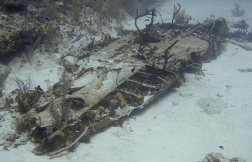 P8021069.JPG – Version 2