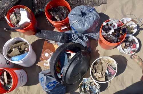 beach cleanup