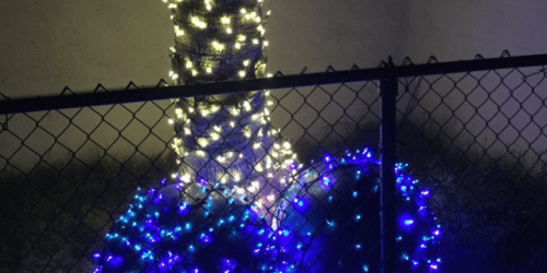 christmas tree lighting