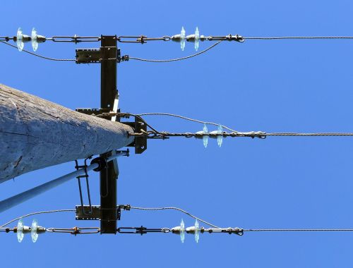 shortest-held license