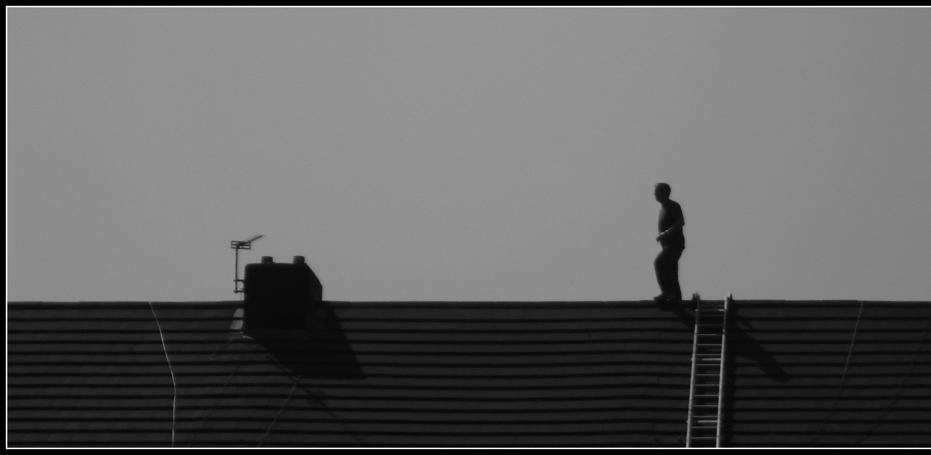 HORSEMAN ON THE ROOF