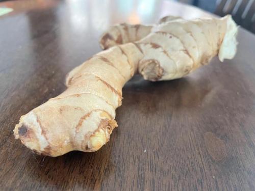 cure for motion sickness