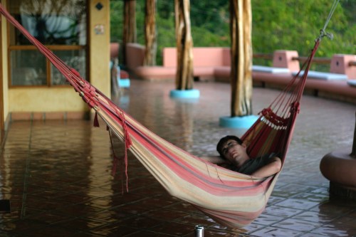 Blacktip Island To Host Inaugural Napping Contest | The Blacktip Times